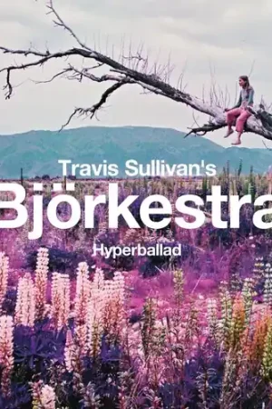 Hyperballad / Venus As A Boy Best Seller