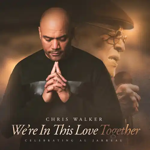 Professional Grade We're In This Love Together (Soundstone Vinyl)