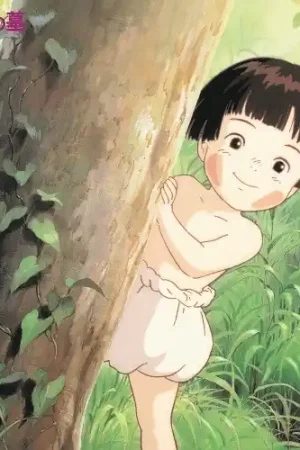 Grave Of The Fireflies: Soundtrack Collection Price Drop