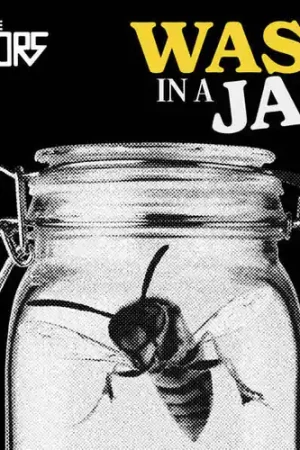 Budget Wasp In A Jar (Uk)