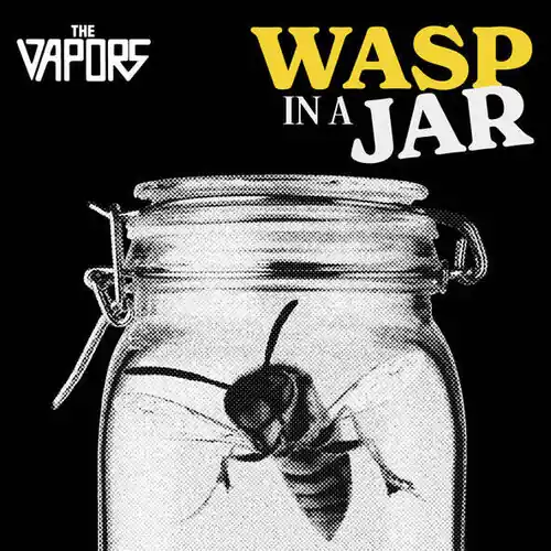 Budget Wasp In A Jar (Uk)