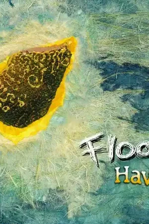 Haven [Import] Fresh Stock