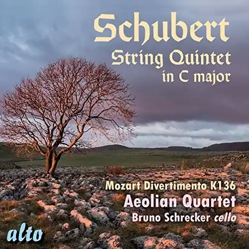 New Arrival String Quintet in C Major / Divertimento in D