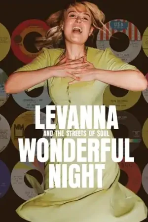 Direct From Manufacturer Wonderful Night Curated By Levanna / Various