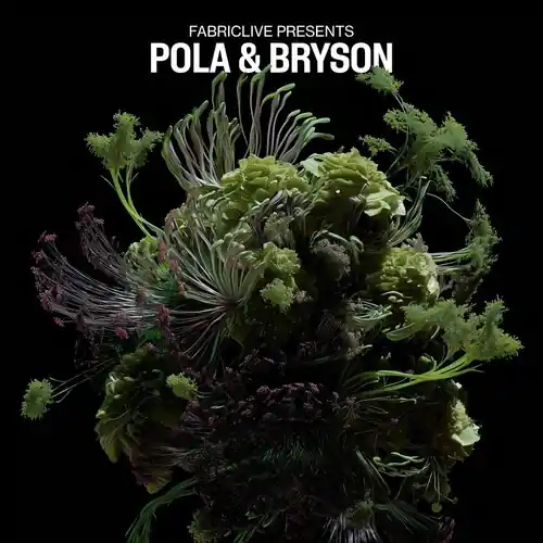 Flash Sale Fabriclive Presents Pola & Bryson