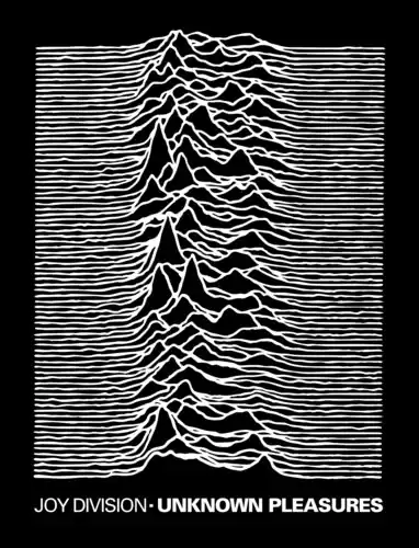 Wholesale Rocksax Joy Division Blnk Unknown Pleasures 50x80