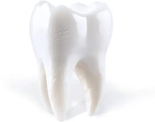 Teething Brand New