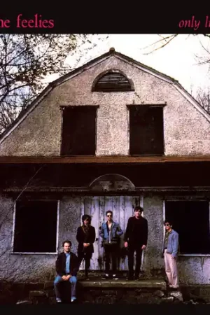 Only Life [Colored Vinyl] [Reissue] Luxury
