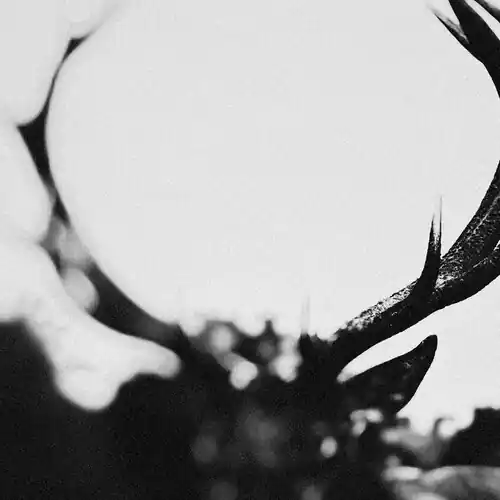 Ihsahn (Orchestral Version) Top Rated