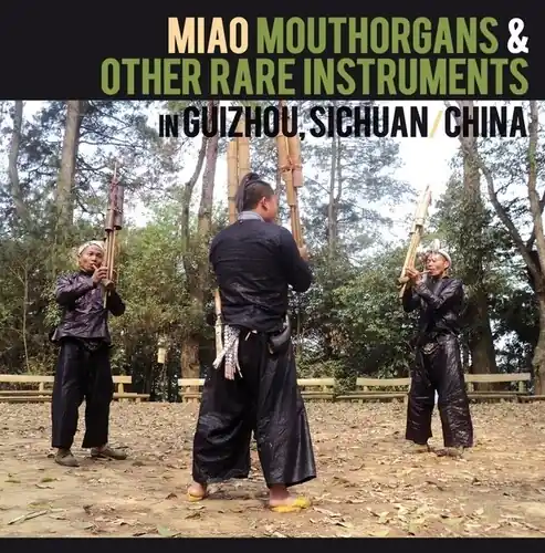Hot Deal Miao Mouthorgans & Other Rare Instruments In / Var