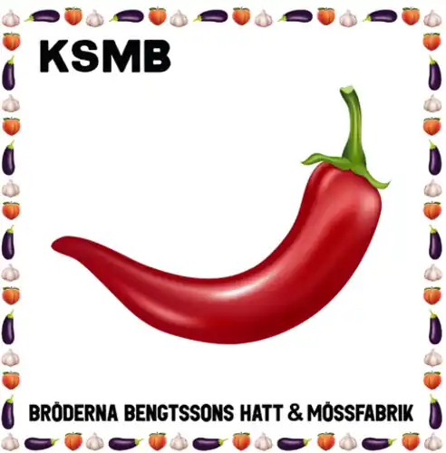 Broderna Bengtssons Hatt & Mossfabrik Today Only