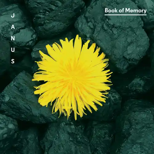 High Quality Book of Memory