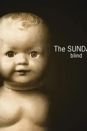 Cheap Blind