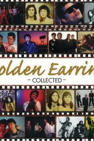 Collected [Import] Factory Price