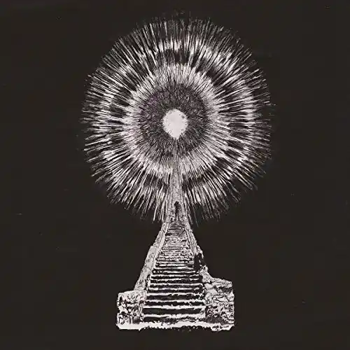 Visions In Bone Today Only