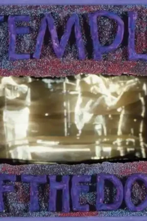 Sale Temple Of The Dog: Remastered [Deluxe Edition 2CD]