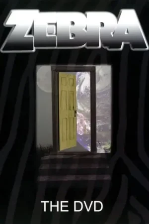The DVD Crafted