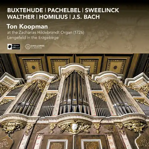 One Day Deal At the Zacharias Hildebrandt Organ (1726)
