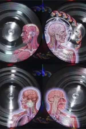 Fan Favorite Lateralus [Vinyl]
