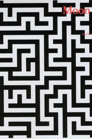 Wholesale Mazes