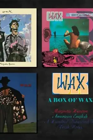 Box Of Wax Premium