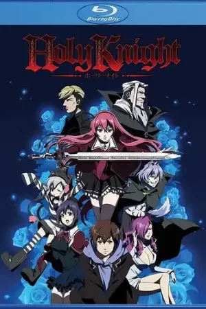 Holy Knight Limited Time