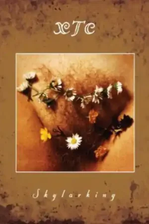 Skylarking: Corrected Polarity Edition Save Now