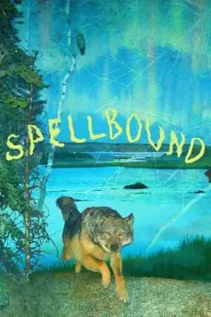 Clearance Spellbound [Digipak]