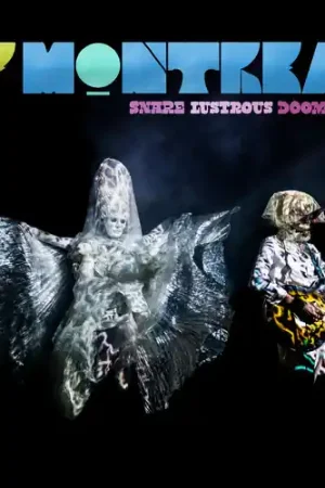 Secure Checkout Snare Lustrous Doomings