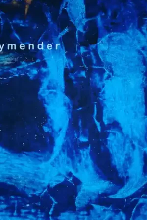 Next Day Delivery Skymender