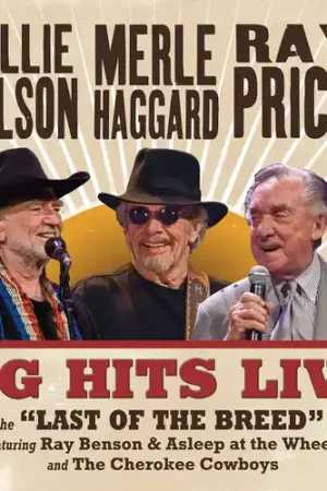 Big Hits Live From The Last Of The Breed Tour Fast Shipping