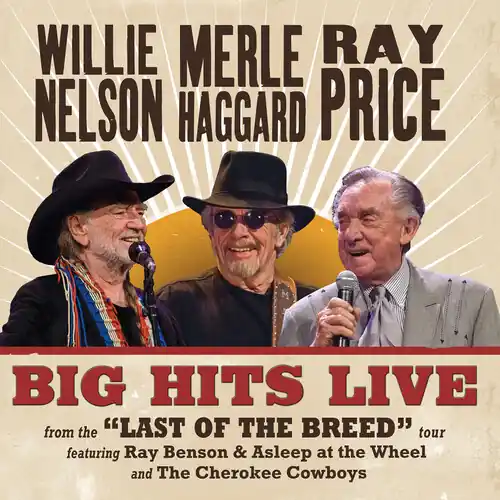 Big Hits Live From The Last Of The Breed Tour Fast Shipping