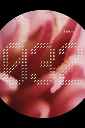 NECH032 Best Price