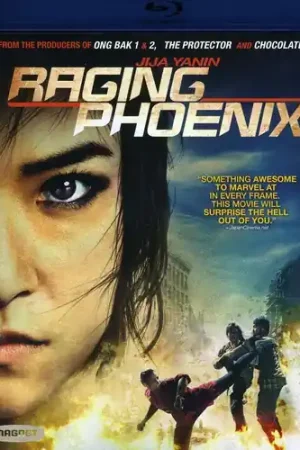 Raging Phoenix Reduced Price
