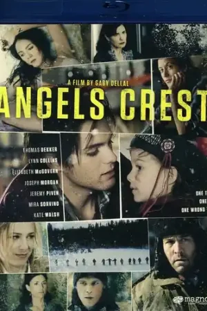 Certified Angels Crest