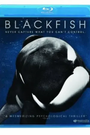 Blackfish Premium