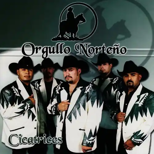 Cicatrices Same Day Shipping