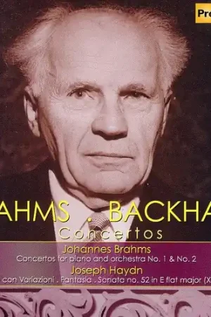 Don’t Miss Out Concertos