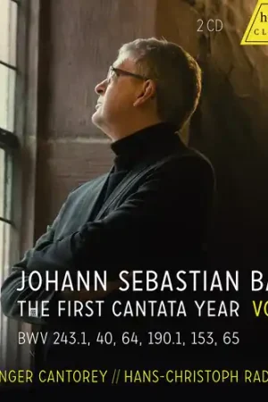 Must Have Vision Bac, Vol. 6 - The First Cantata Year