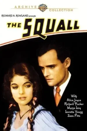 Order Now The Squall