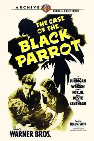 Secure Checkout The Case of the Black Parrot