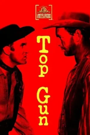 Price Cut Top Gun