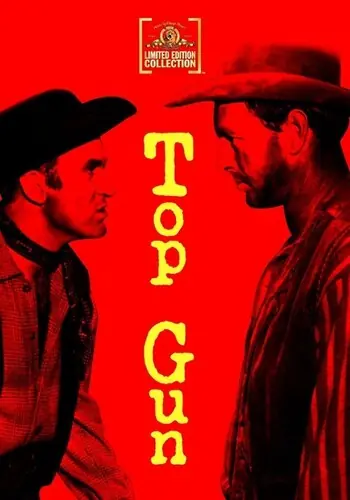 Price Cut Top Gun