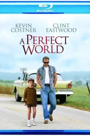 A Perfect World Next Day Delivery
