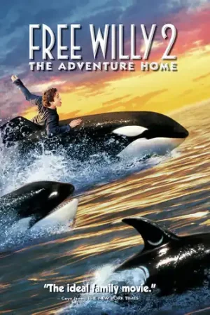 Free Willy 2: The Adventure Home Buy Direct