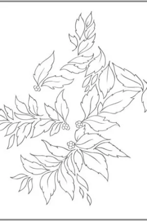 Exclusive Offer Momenta Quintae Essentiae