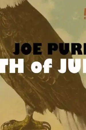 4th of July Budget