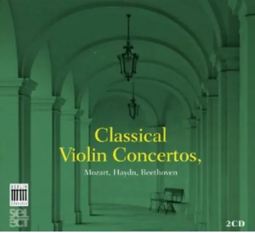 Free Shipping Bc-Select11 Classical Violin C