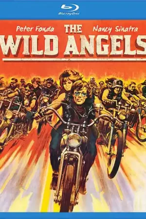 Limited Edition The Wild Angels