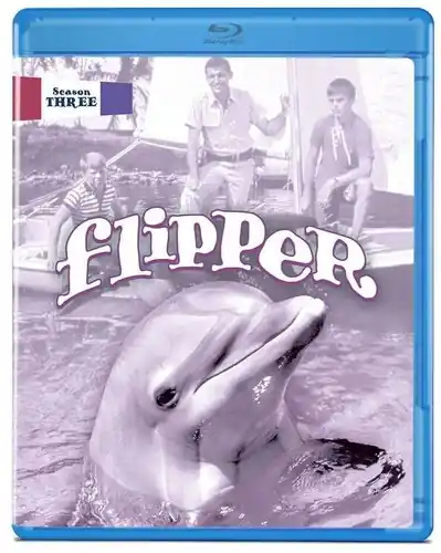 Buy Today Flipper: Season Three
